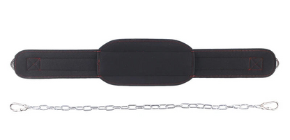 Heavy-Duty Dip Belt with Steel Chain