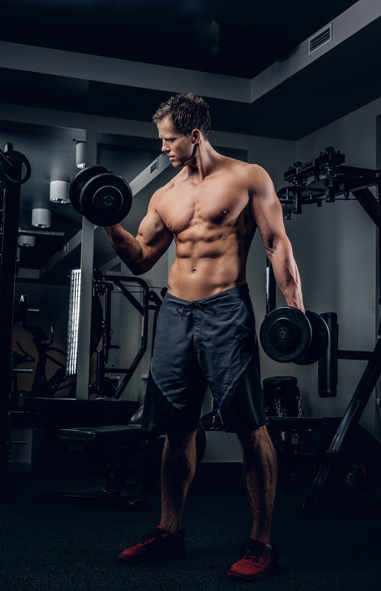 Advanced Workout Program